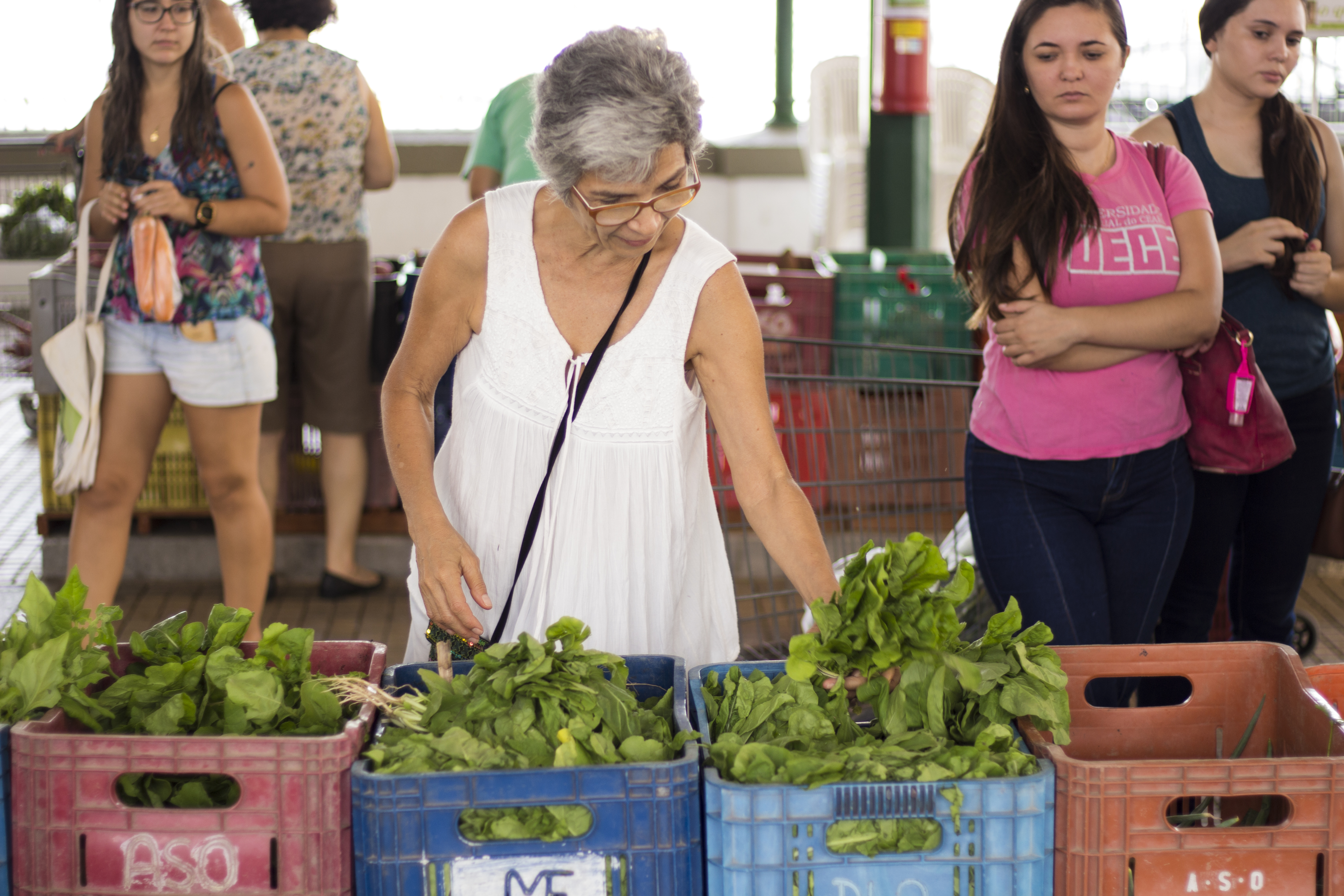 Uma senhora escolhe folhas de agrião na Feira de Produtos Orgânicos do Mercado dos Pinhões
